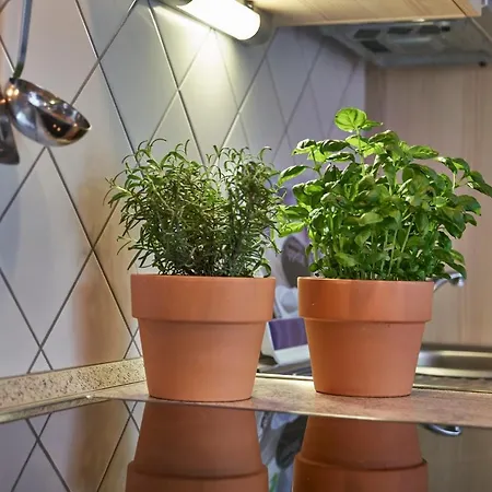 Haus Elisabeth Appartement Bodenmais