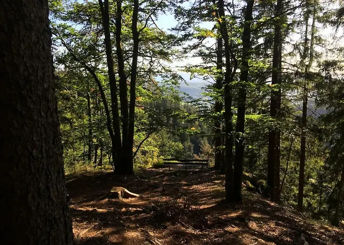 Haus Elisabeth 보덴마이스