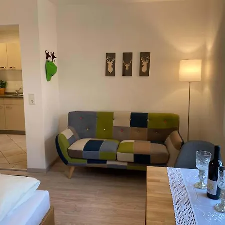 Haus Elisabeth Apartamento Bodenmais